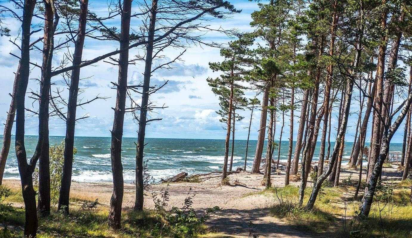 Fly Camp Kopań - unikalne miejsce na nocleg nad morzem, tuż przy plaży, blisko jeziora, w sosnowym lesie